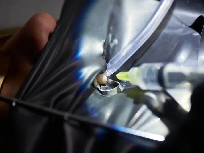 Fast, Reliable Windshield Crack Repair in Newcastle, WA